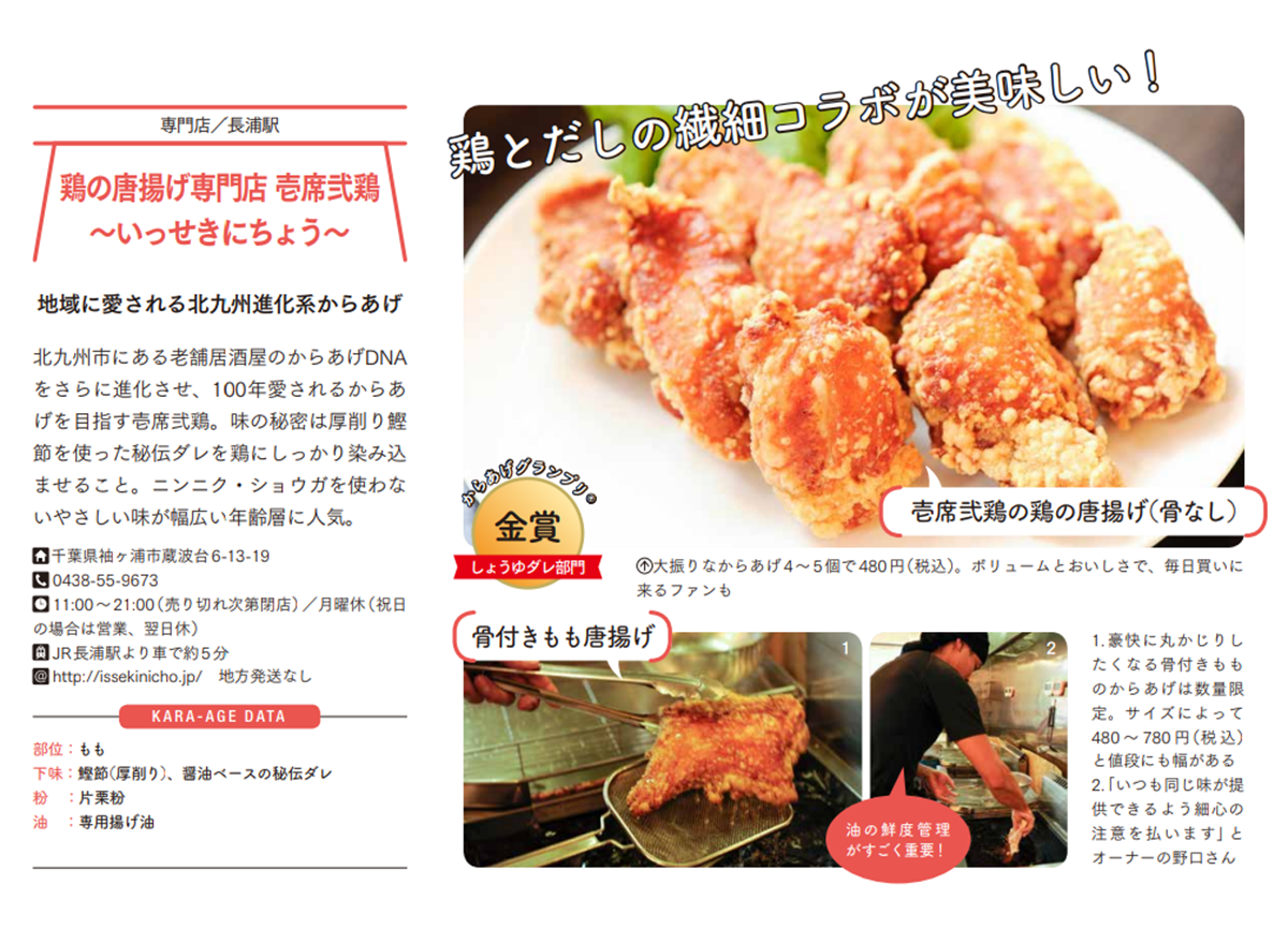 カラアゲパーフェクトブック記事